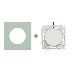 Odace Inter/BP lumineux S920263 + plaque Vert Jade