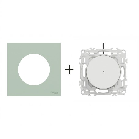 Odace Inter/BP lumineux + plaque Vert Jade