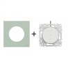 Odace Inter/BP lumineux + plaque Vert Jade