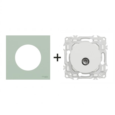 Odace Prise TV simple sortie coaxiale IEC 9,52 mm + plaque Vert Jade
