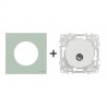 Odace Prise TV simple sortie coaxiale IEC 9,52 mm + plaque Vert Jade