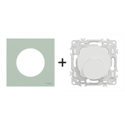 Odace Sortie de câble S920662 + plaque Vert Jade