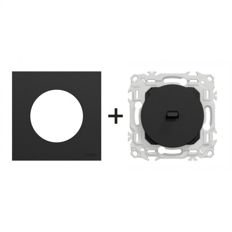 Odace Inter/poussoir à levier 250 V CA, 50/60 Hz + plaque Noir Onyx