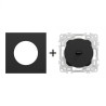 Odace Inter/poussoir à levier 250 V CA, 50/60 Hz + plaque Noir Onyx