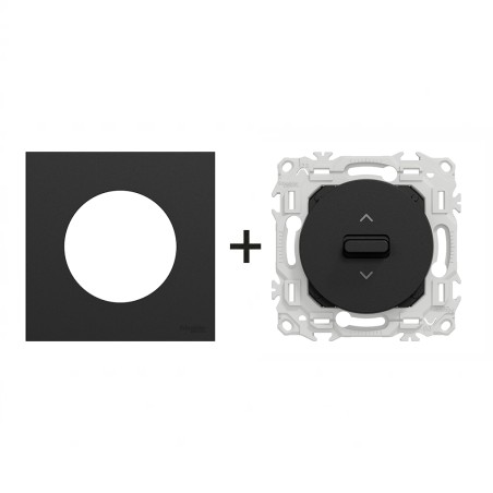 Odace Inter volets roulants + plaque Noir Onyx