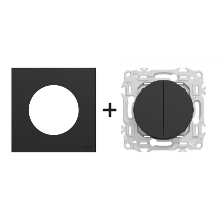 Odace Double inter/BP + plaque Noir Onyx