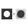 Odace Double inter/BP + plaque Noir Onyx