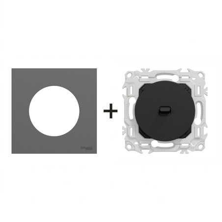 Odace Inter/poussoir à levier + plaque Gris Basalte