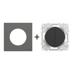 Odace Double inter/BP S940214 + plaque Gris Basalte