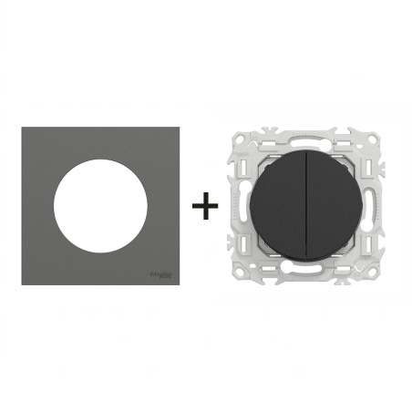 Odace Double inter/BP + plaque Gris Basalte