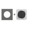 Odace Double inter/BP + plaque Gris Basalte