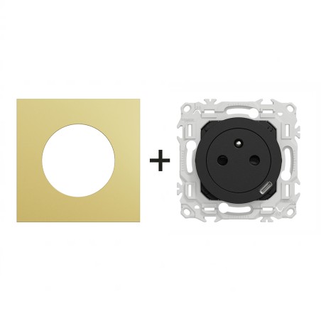 Odace Prise 250 V CA, 50 Hz + chargeur USB-C + plaque Laiton-noir