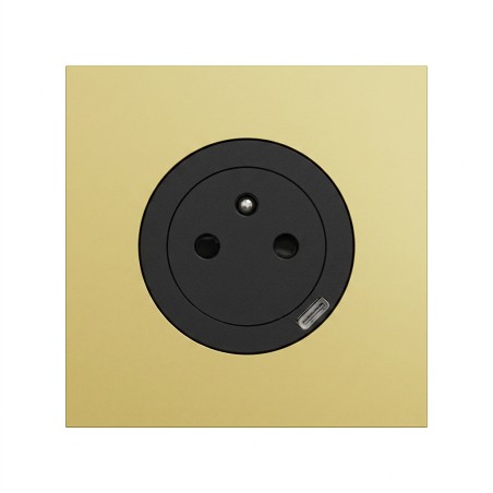 Odace Prise 250 V CA, 50 Hz