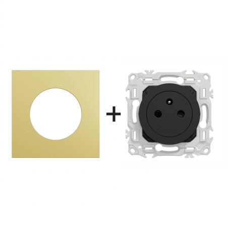Odace Prise de courant 2P+T 250 V CA, 50 Hz + plaque Laiton-noir