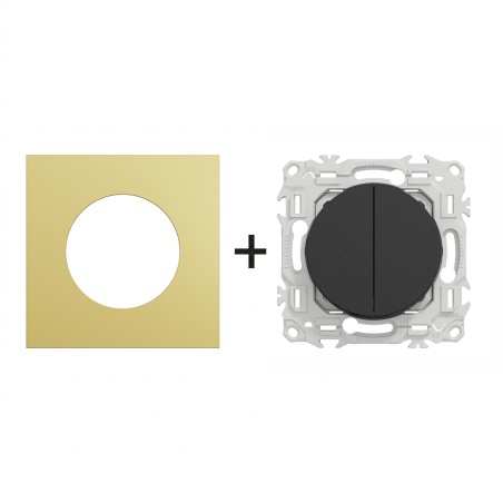 Odace Double inter/BP + plaque Laiton-noir