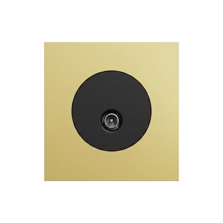 Odace Prise TV simple IEC 9,52 mm