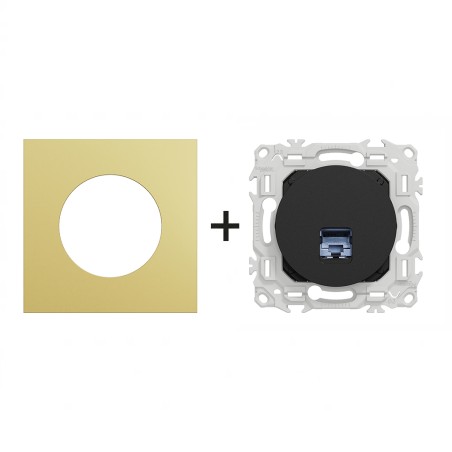 Odace Prise RJ45 Cat 6 Écrantage STP blindée + plaque Laiton-noir