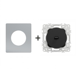 Odace Inter/poussoir à levier S940203 + plaque Titane