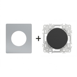 Odace Interrupteur/poussoir S940204 + plaque Titane