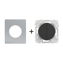 Odace Double inter/BP S940214 + plaque Titane