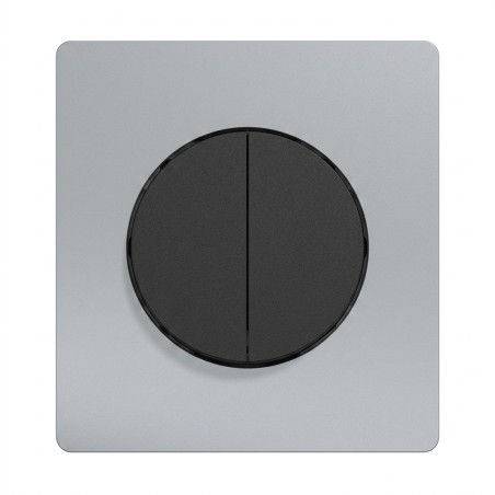 Odace Double inter/BP 250 V CA