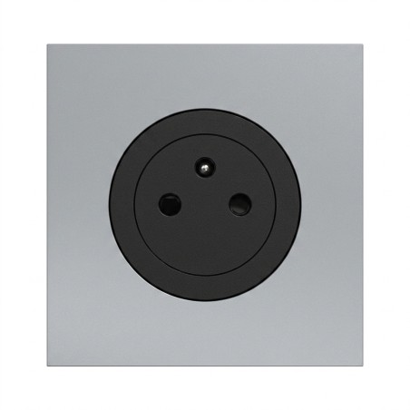 Odace Prise de courant 2P+T 250 V