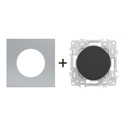 Odace Interrupteur/poussoir S940204 + plaque Titane-noir