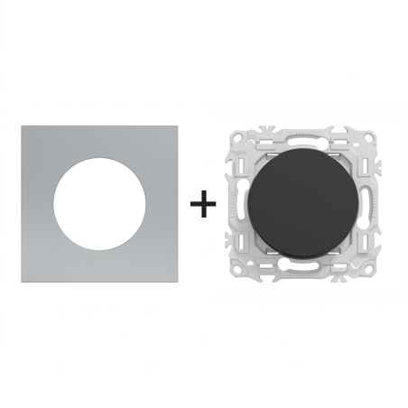 Odace Interrupteur/poussoir + plaque Titane-noir