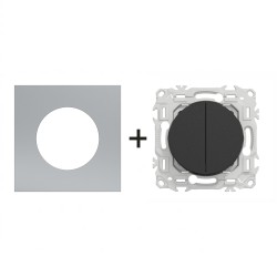 Odace Double inter/BP S940214 + plaque Titane-noir