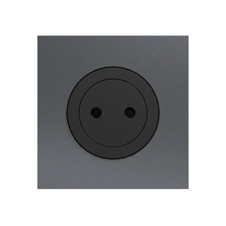 Odace Prise de courant 2P 250 V