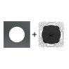 Odace Inter/poussoir à levier + plaque Perle Noire