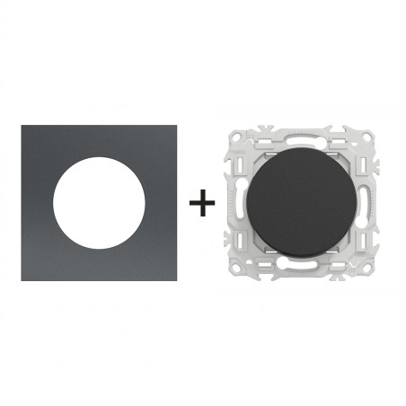 Odace Interrupteur/poussoir + plaque Perle Noire