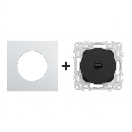 Odace Inter/poussoir à levier + plaque Alu-noir