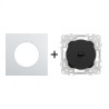Odace Inter/poussoir à levier + plaque Alu-noir