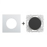 Odace Interrupteur/poussoir + plaque Alu-noir