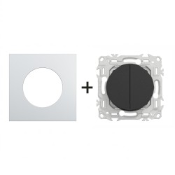 Odace Double inter/BP S940214 + plaque Alu-noir