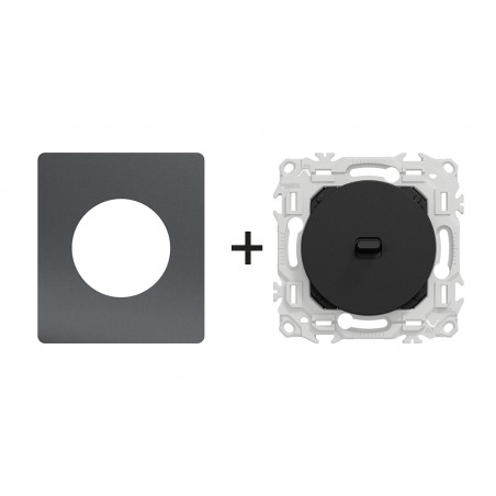 Odace Inter/poussoir à levier Architecte Perle Noire