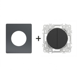 Odace Double inter/BP S940214 Architecte Perle Noire