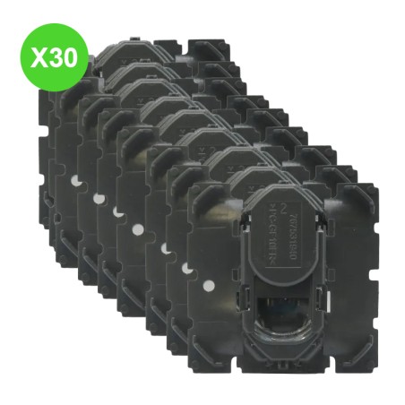 Céliane Prises RJ45 Catégorie 6 FTP Lot 30 Pcs