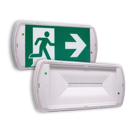 Bloc BAES évacuation 45lm/1h IP65