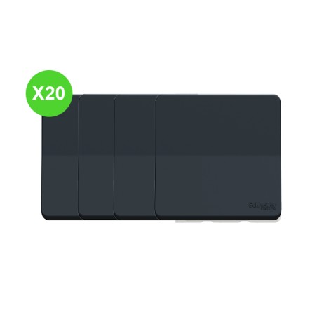 Mureva Va-et-vient Compo gris Lot 20 Pcs 250 V 10 AX