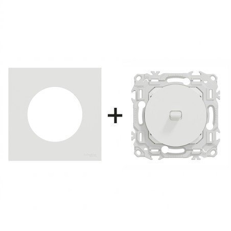 Odace Inter/poussoir à levier 250 V CA 50/60 Hz