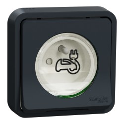 Prise recharge VE Mureva encastrée Gris Schneider MUR36011