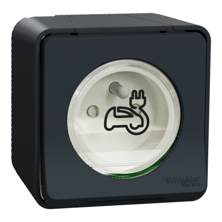 Prise recharge pour véhicule électrique 16A/250V Mureva saillie Gris