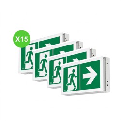 Bloc BAES évacuation SATI 45lm IP43 16125 Lot 15 Pcs