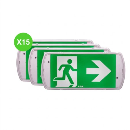 Bloc BAES évacuation UniLed EVO SATI 45lm 1h IP42 IK07 Lot 15 Pcs