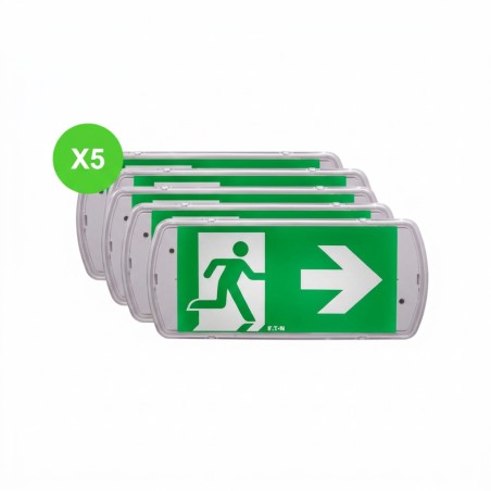 Bloc BAES évacuation UniLed EVO SATI 45lm 1h IP42 IK07 Lot 5 Pcs