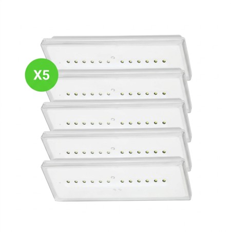 Bloc BAES ambiance SATI autonomie 1h IP42 IK04 Xena Flat lot de 5