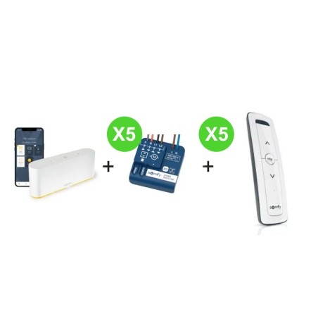 Kit TaHoma 1 box Somfy 1870594 + 5 Situo 1870312 + 5 récepteurs volet radio 1822660