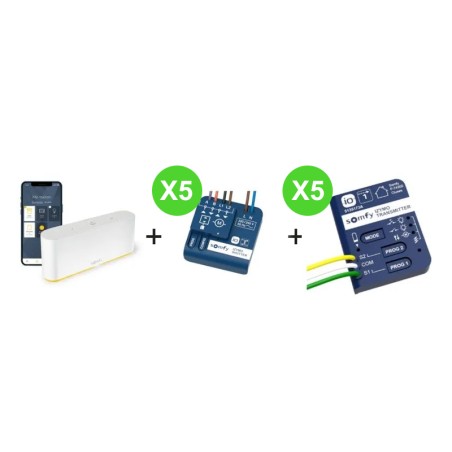 Kit TaHoma 1 box Somfy 1870594 + 5 émetteurs 1822609 + 5 récepteurs voletf 1822660